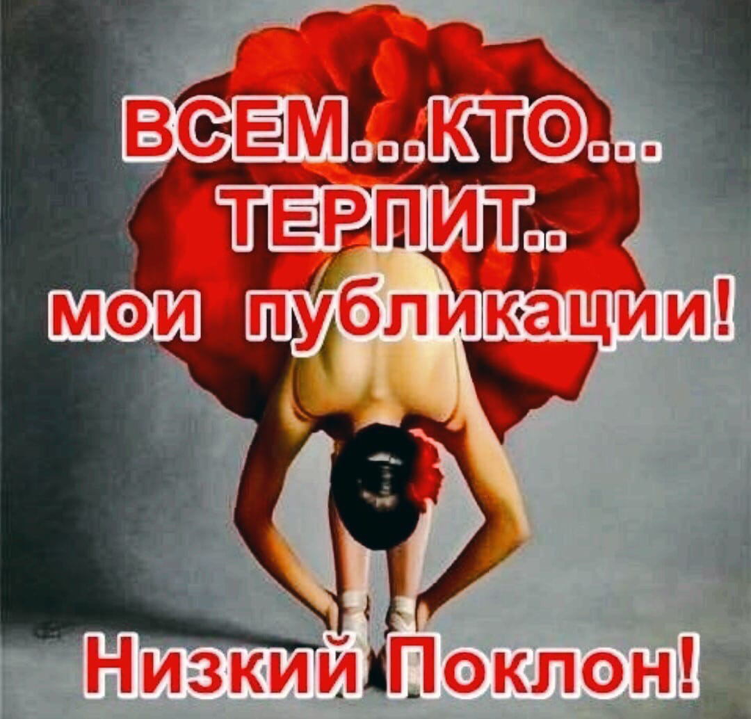 Низкий поклон кто терпит Мои публикации