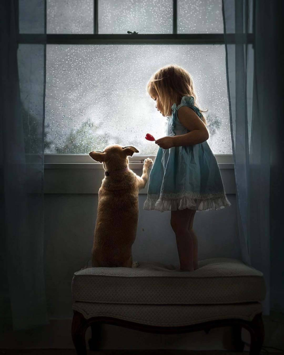 Маленькая девочка у окна