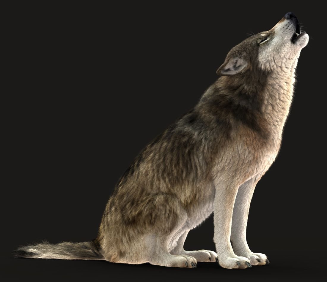 Одиночество с собакой