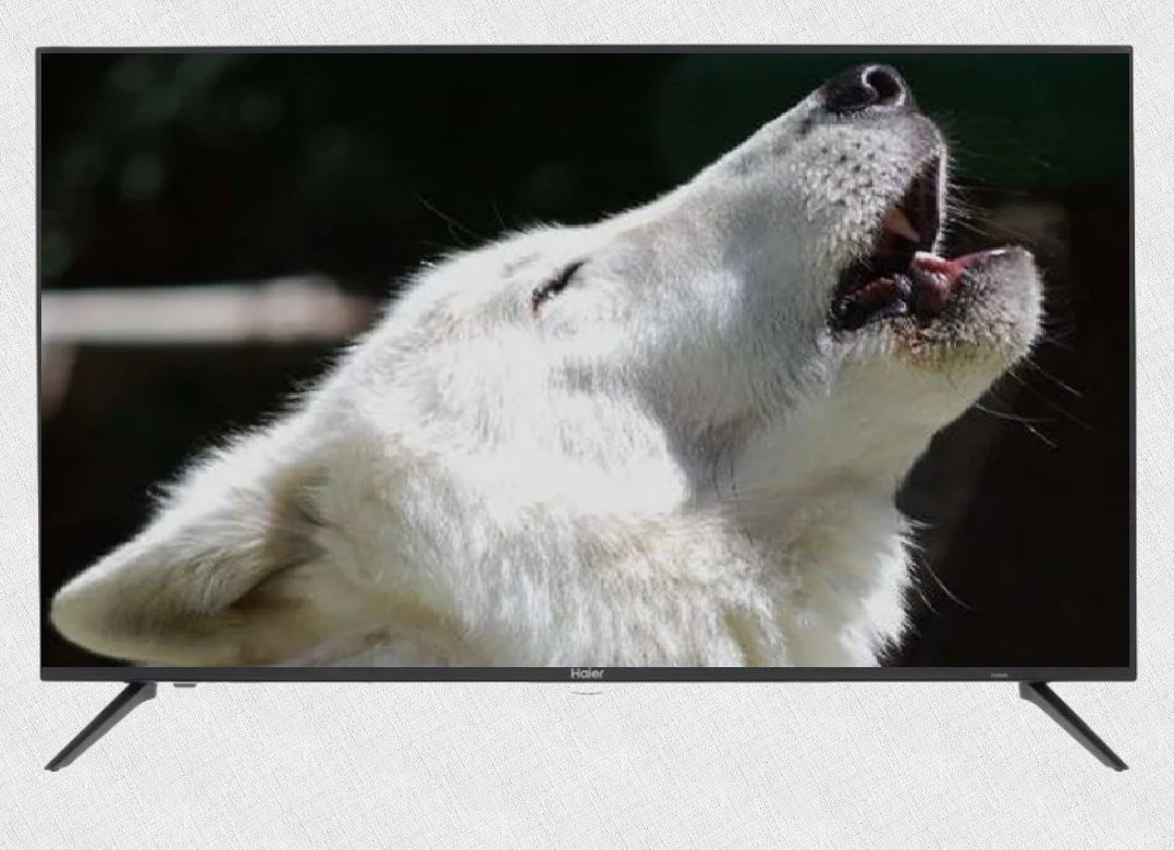 Собака лает на привязи