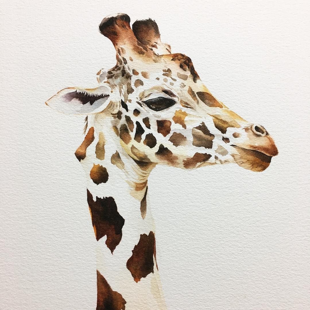 Рисуем жирафа акварелью