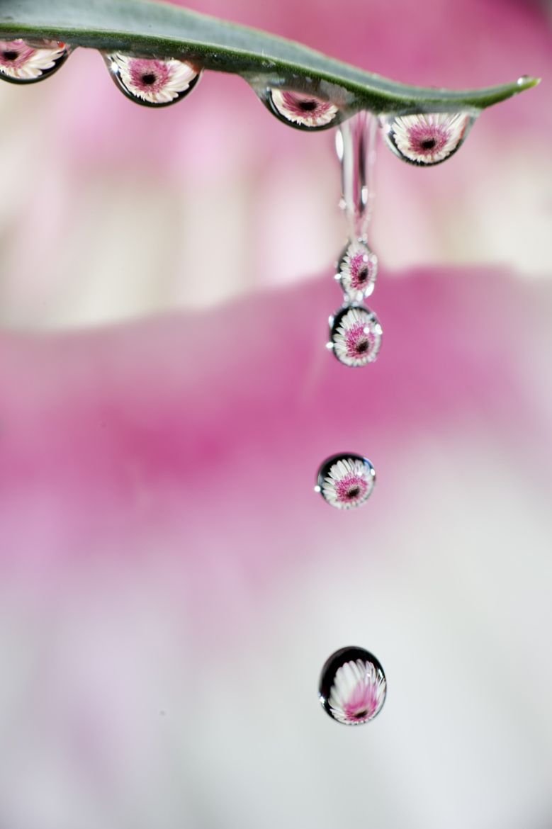 Губы капли макро