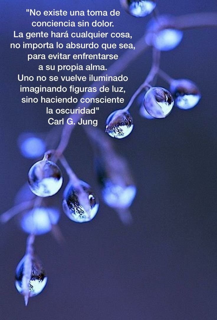 Капля на ветке