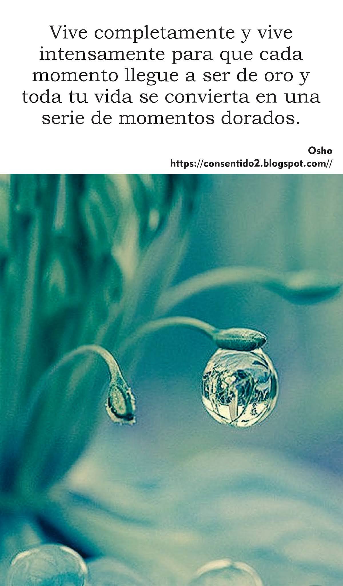 Капельки росы на стекле