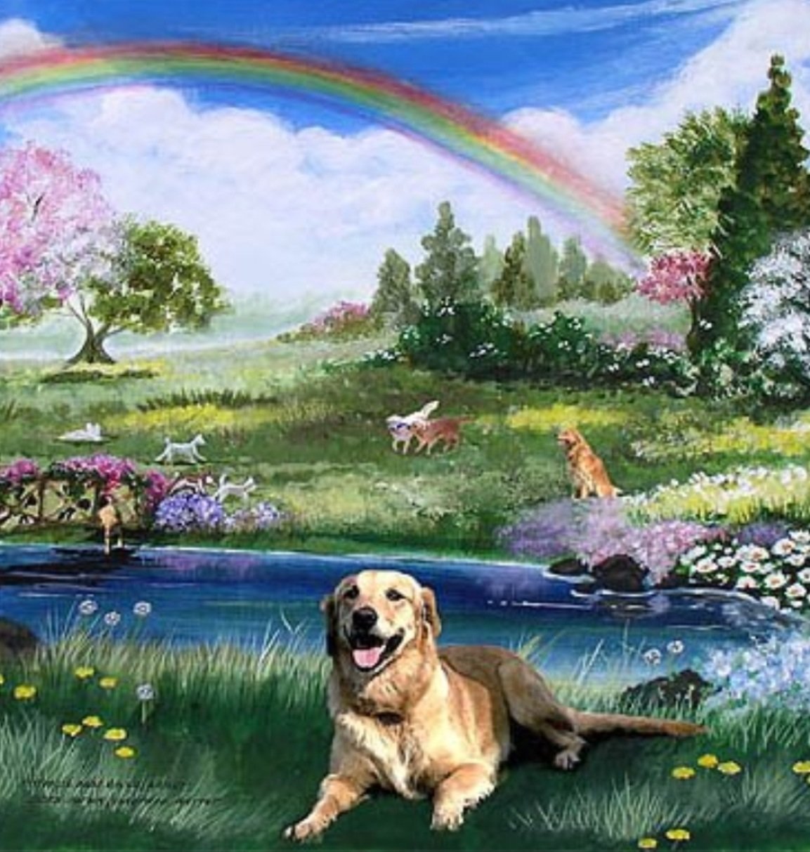 Собака на радуге картинки