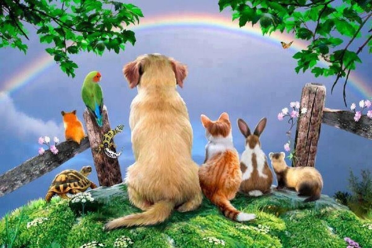 Пейзаж с собакой