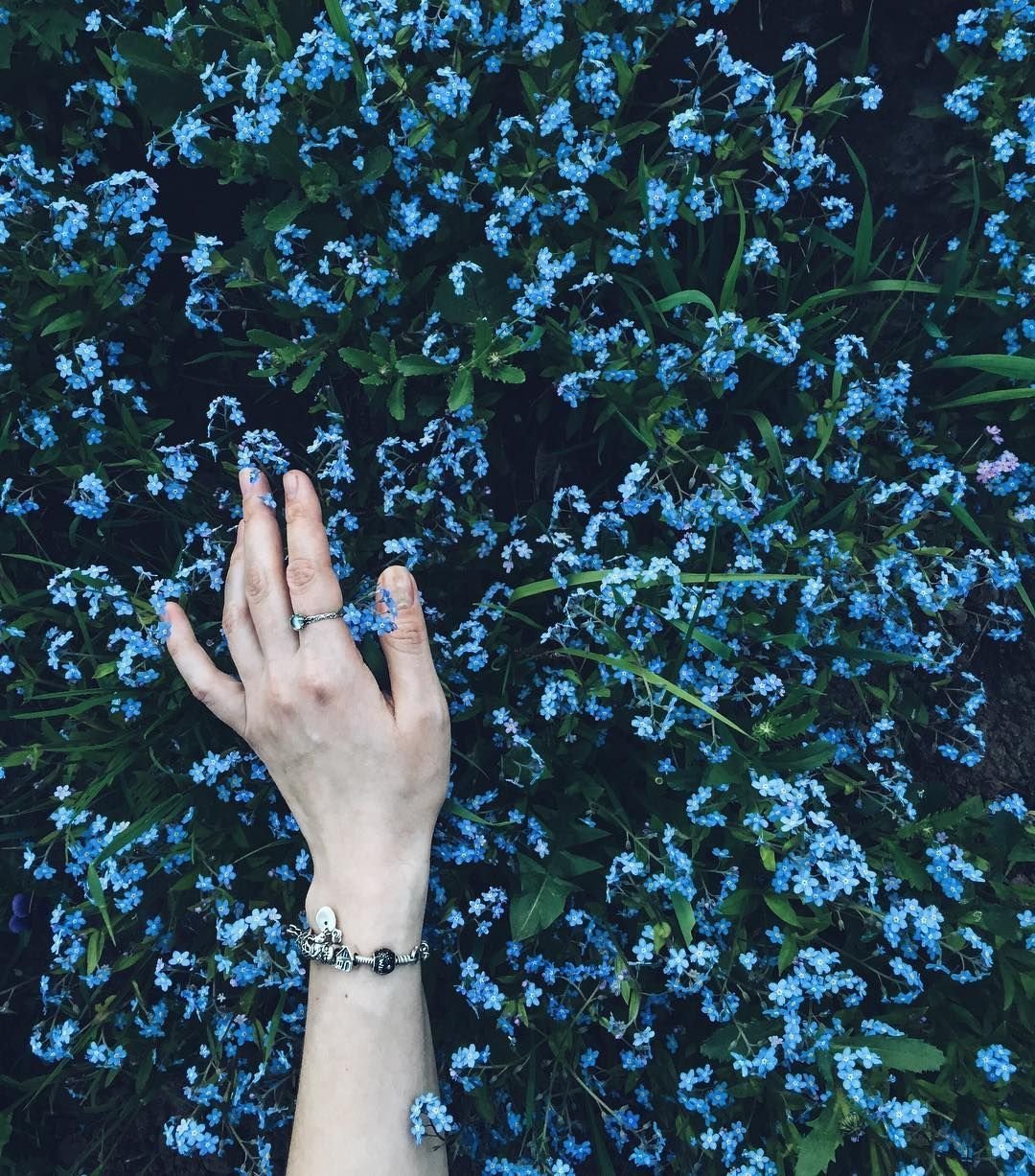 Эстетика голубого цвета