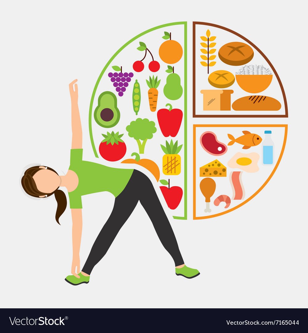 Полезное питание вектор