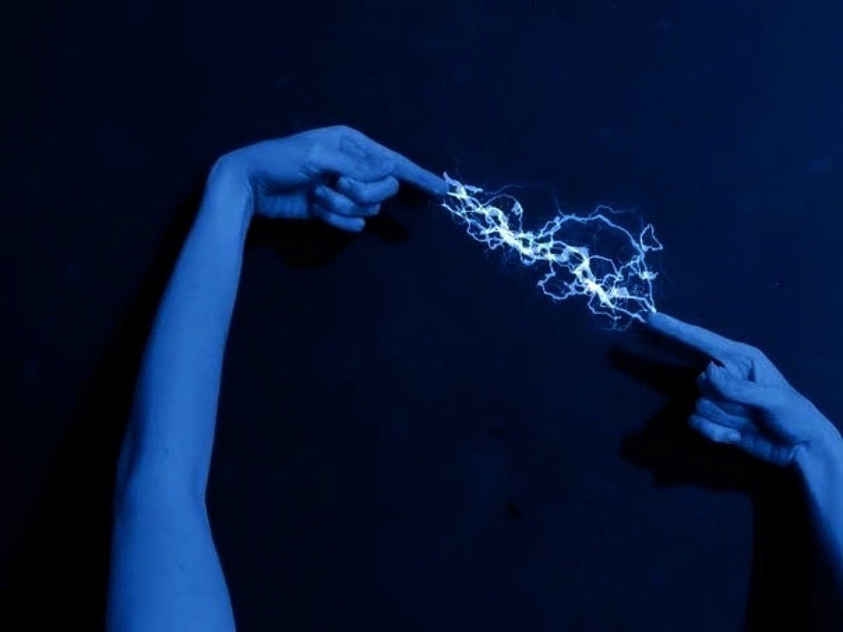 Голубь Эстетика