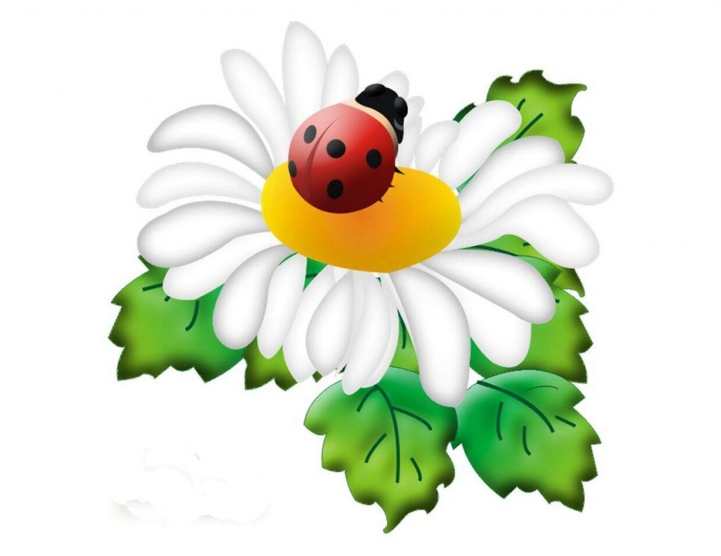 Группа Ромашка