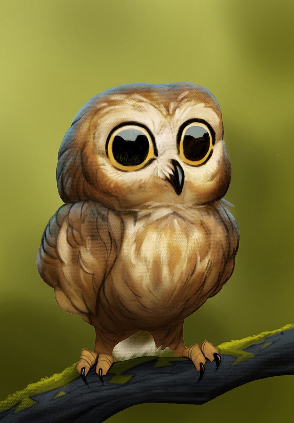 Птенец птенец Сипухи