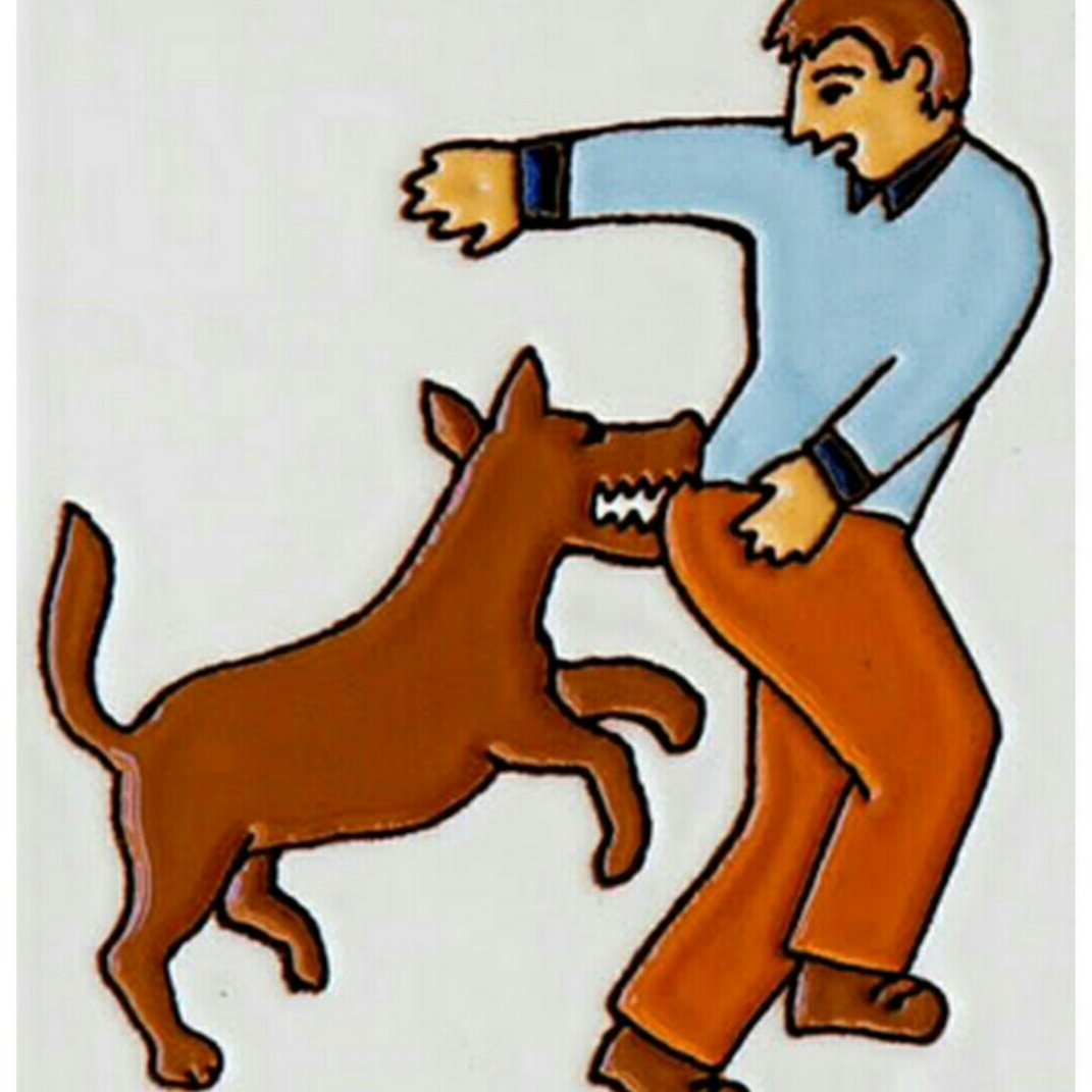 Сабпкакусает мальчика