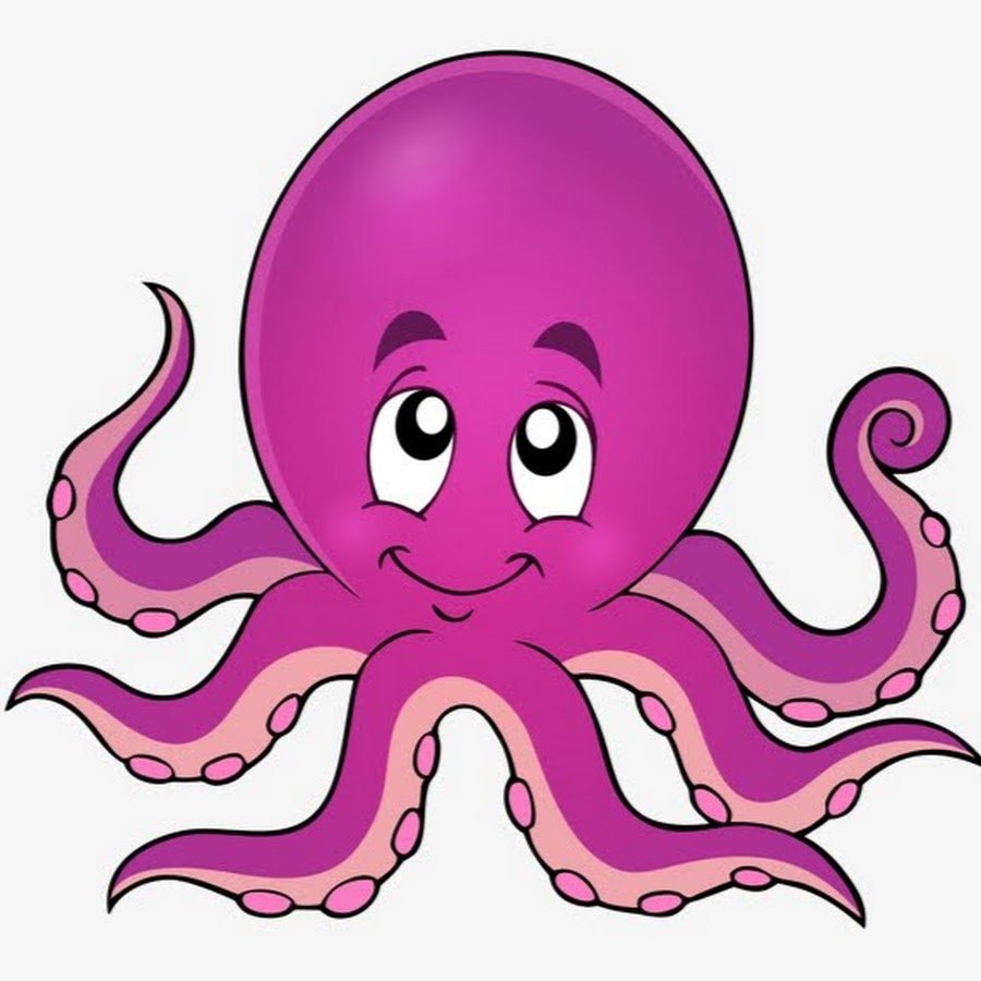Осьминог мультик про Осьминожек