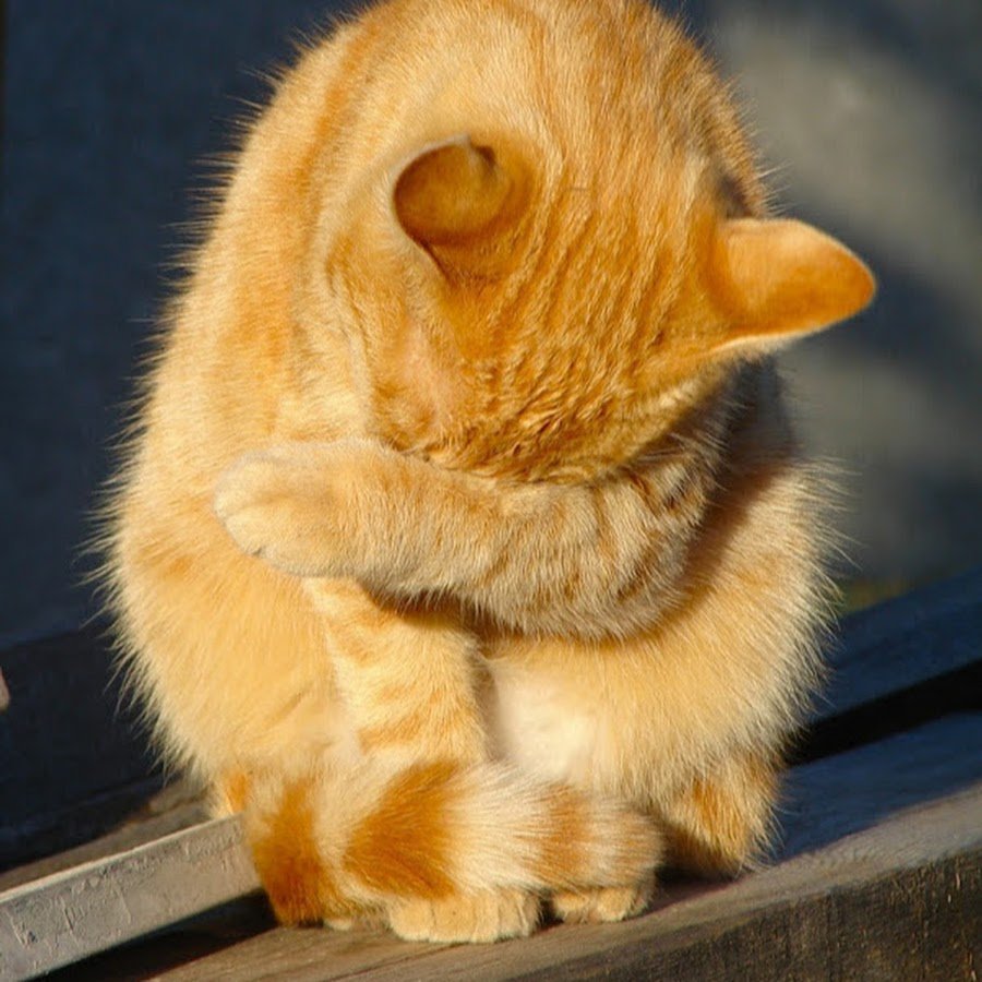 Девушка стесняется