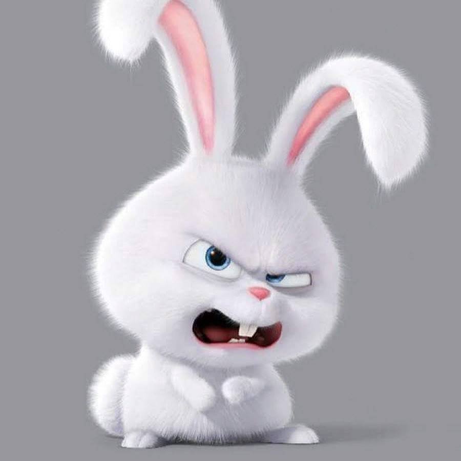 Тайная жизнь домашних животных кролик