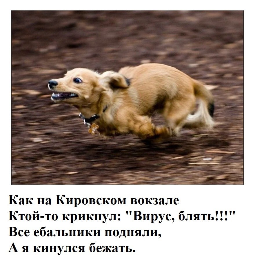 Пятница домой