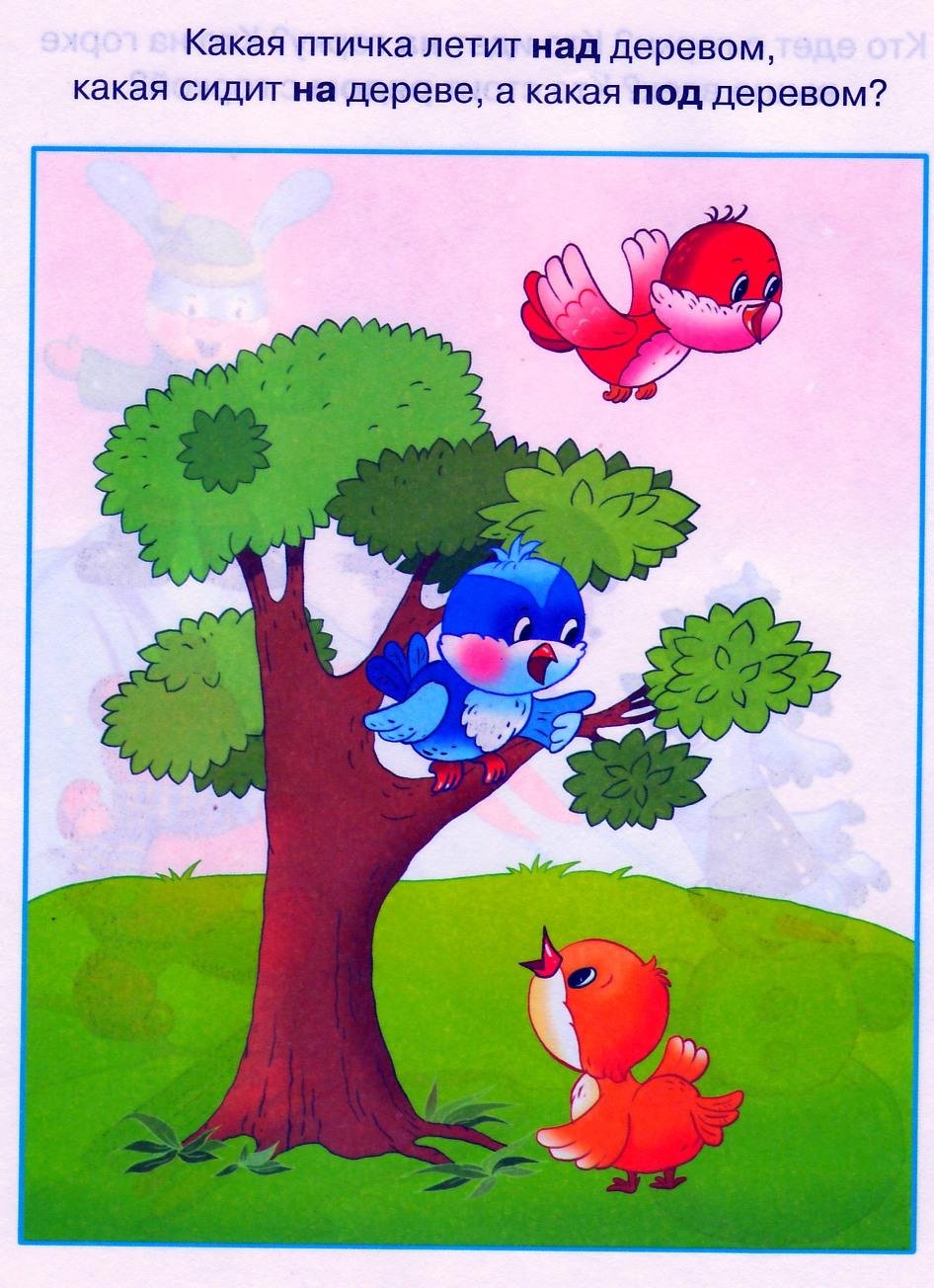 Ориентировка в пространстве для дошкольников