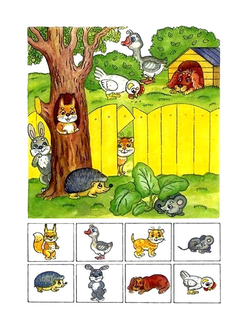 Пространственное расположение предметов для дошкольников