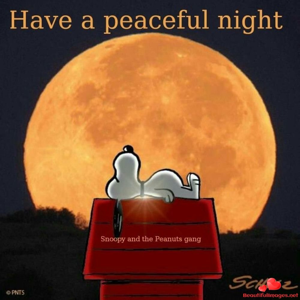 Good Night смешные