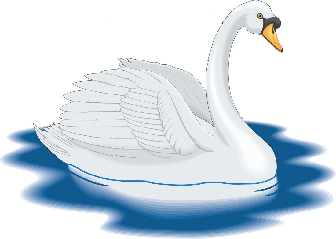 Летающий лебедь рисунок