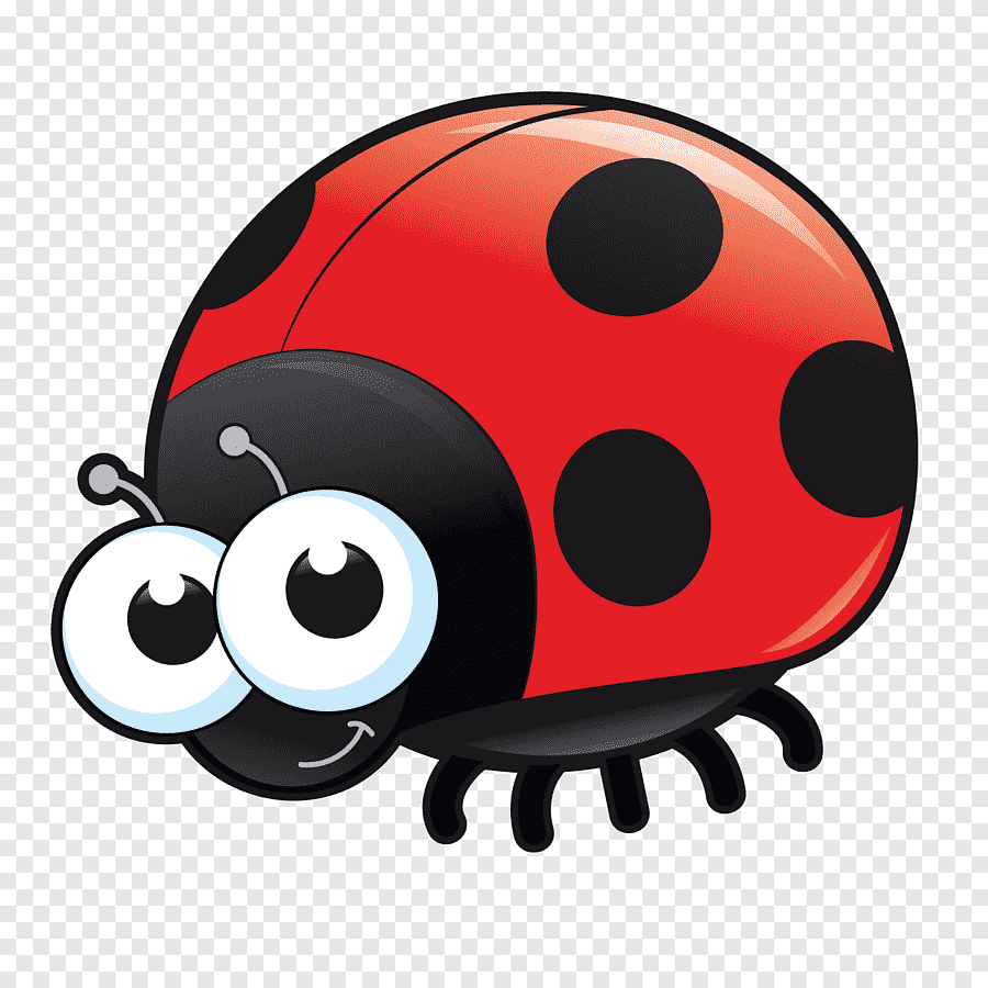 Ladybug Божья коровка
