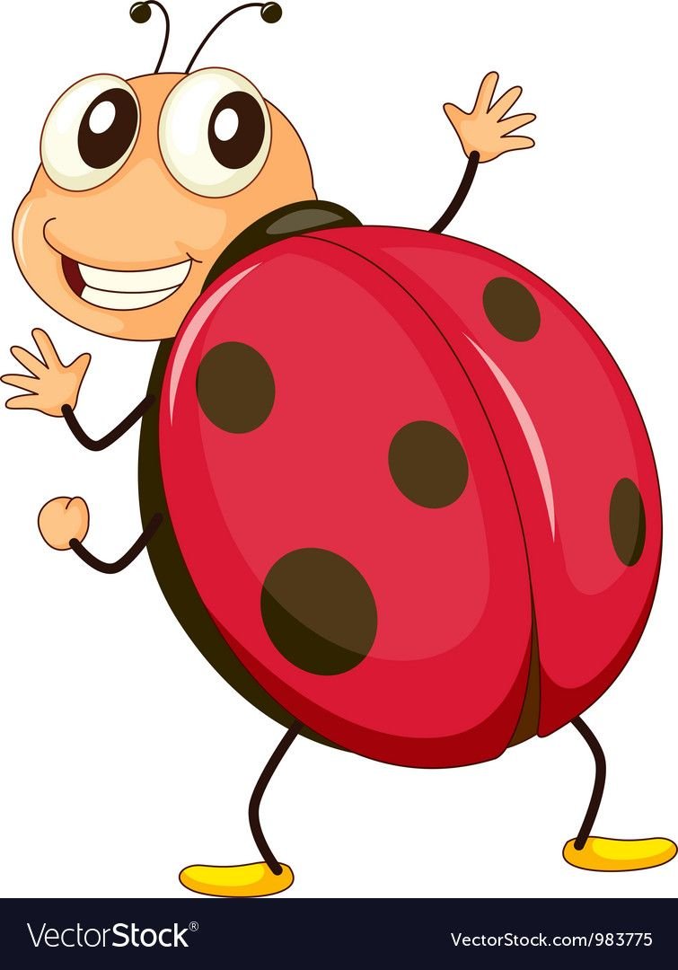 Мультяшные насекомые