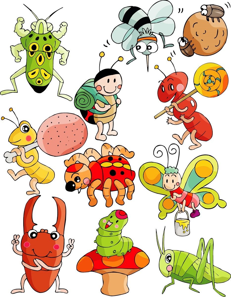 Божьи коровки