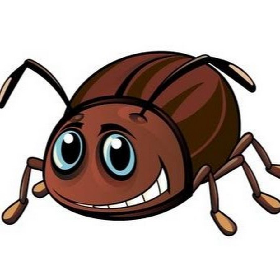 Сказочные жуки