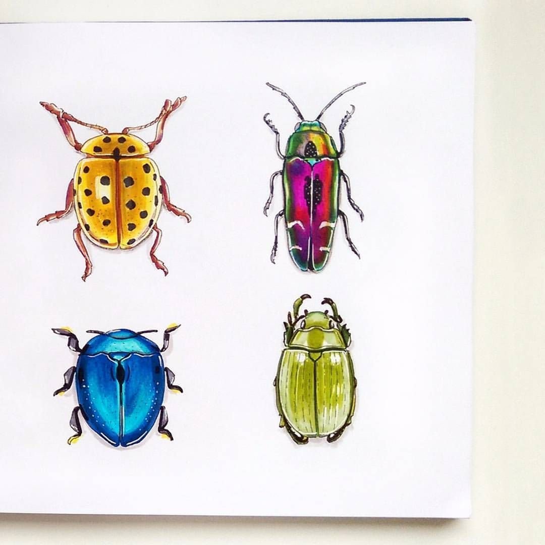 Божья коровка мультяшная