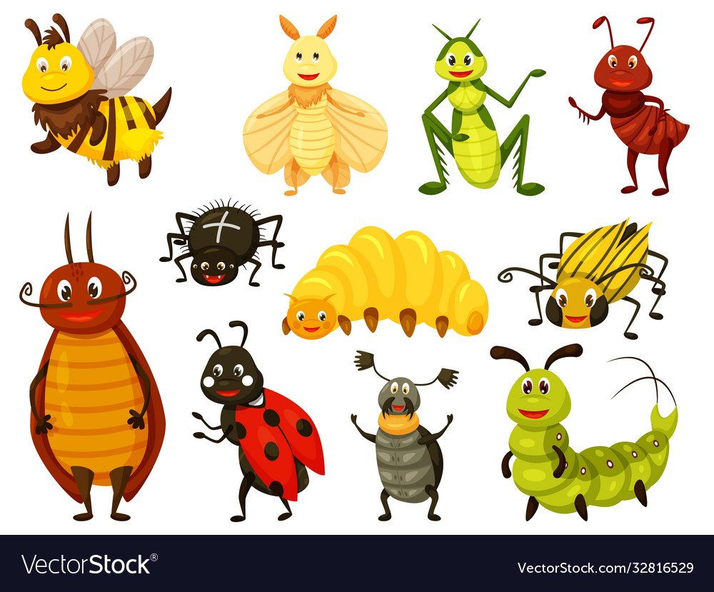 Божьи коровки