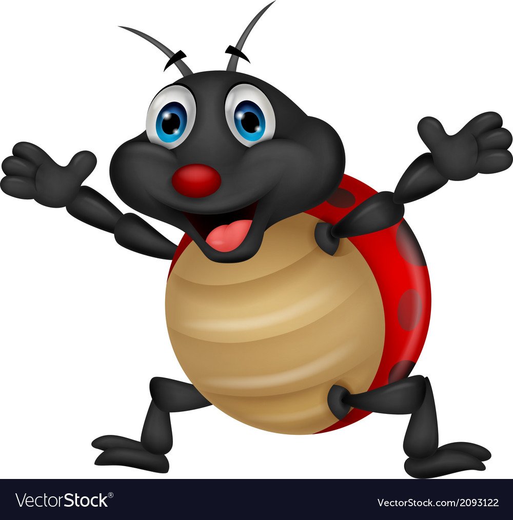 Божья коровка на белом фоне