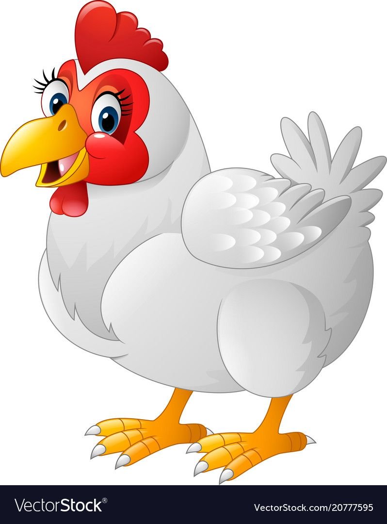 Курица на белом фоне мультяшный