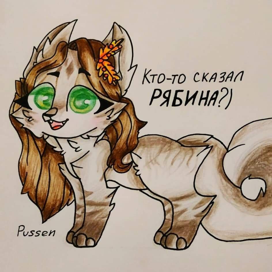 Кастл кэтс аш два о