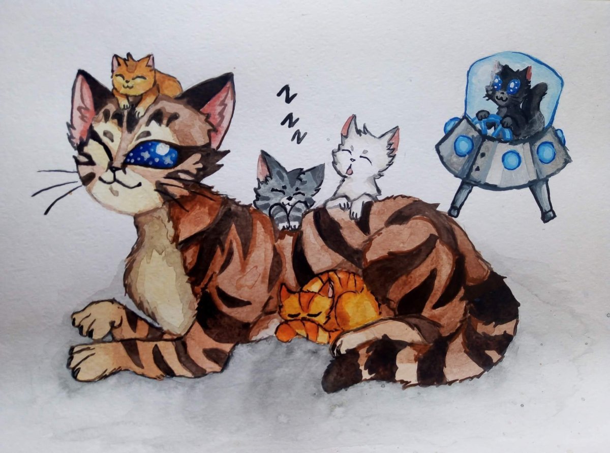 Кастл кэтс легендарные костюмы