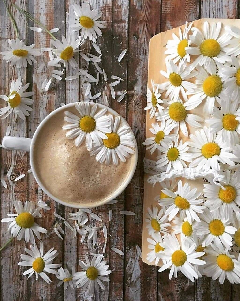 Кофе и ромашки Эстетика