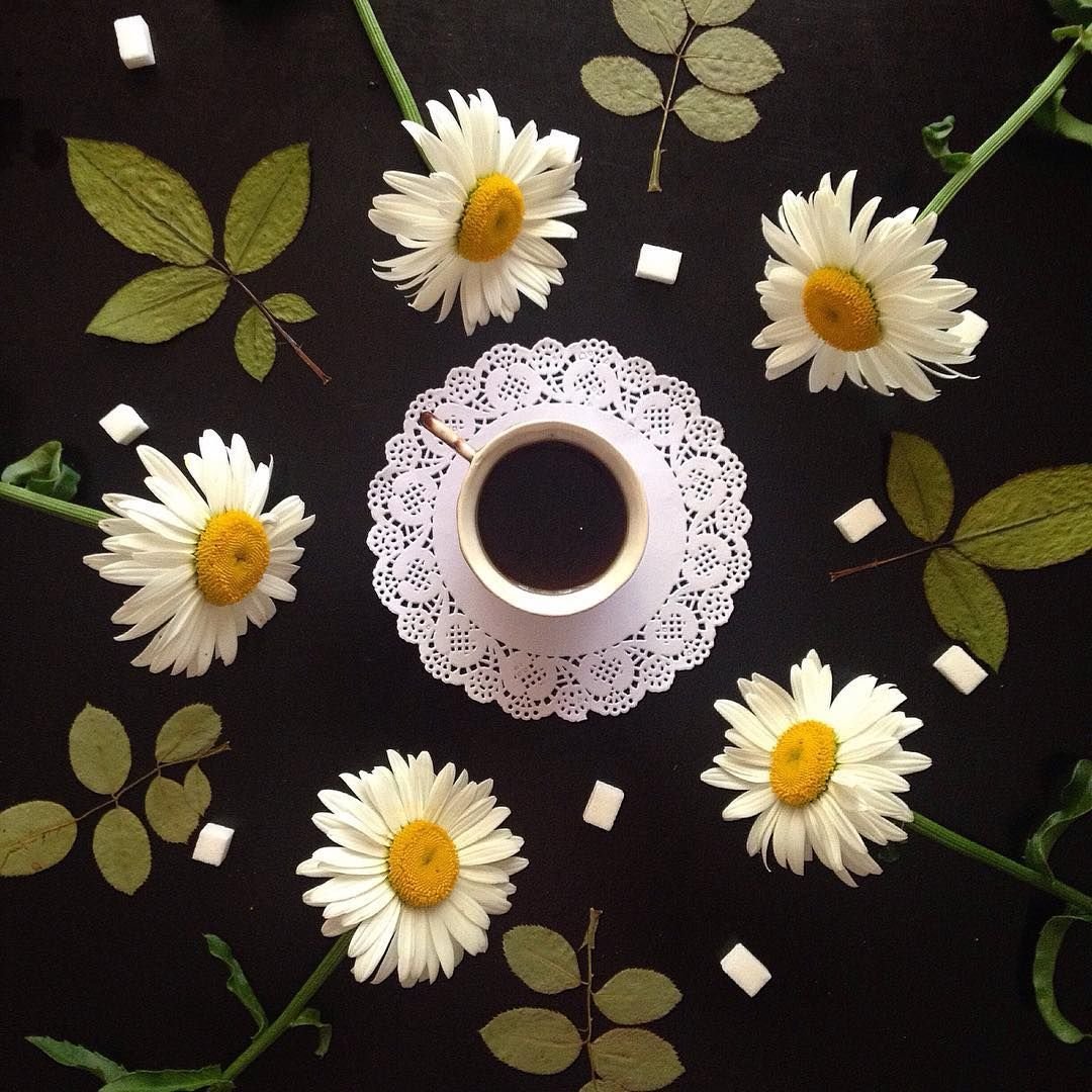 Ромашки и кофе