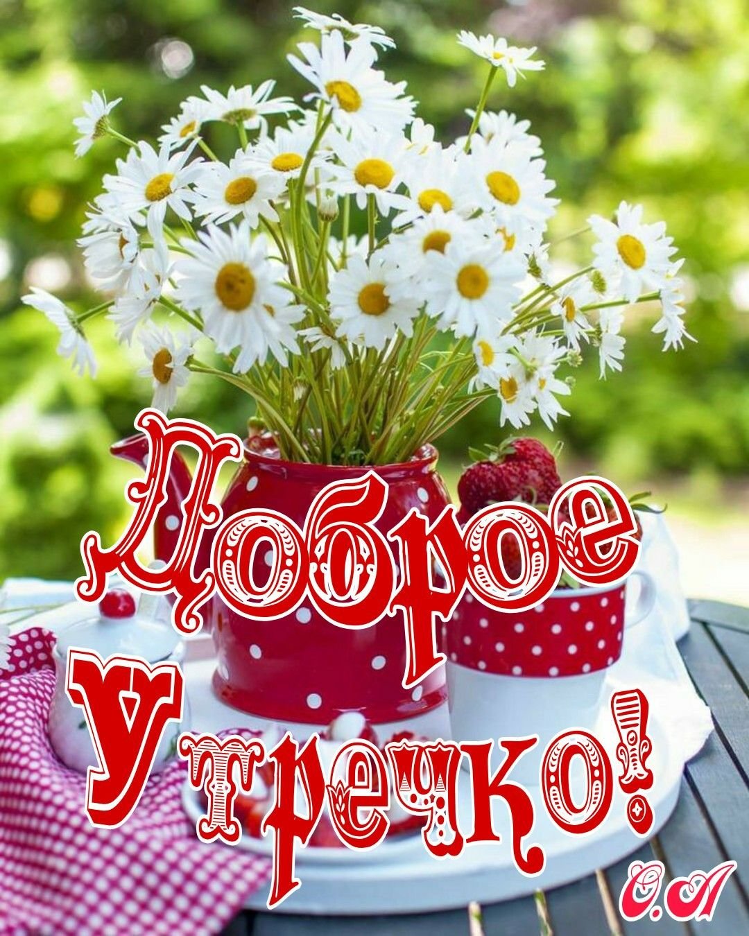 Открытки с добрым утром с ромашками