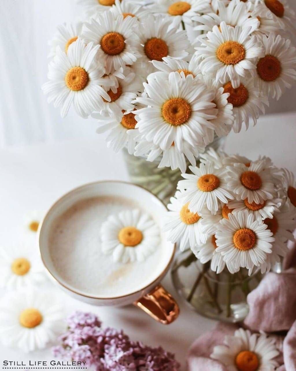 Ромашки в чашке