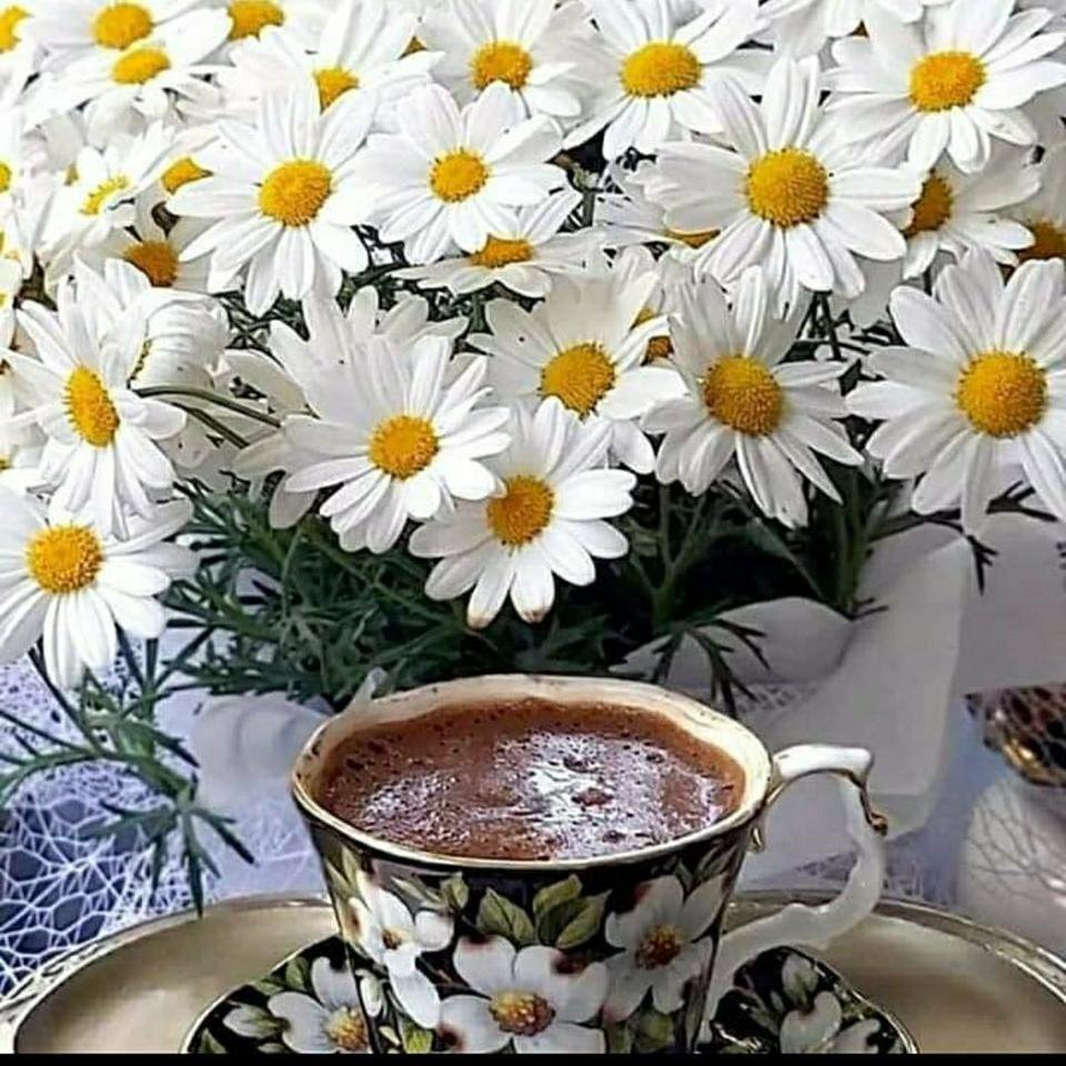 Доброе утро ромашки красивые