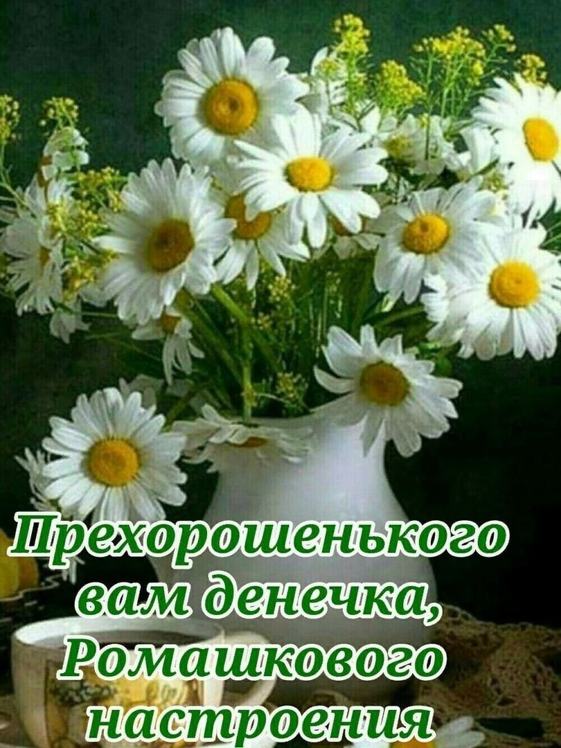 Доброе утро ромашки