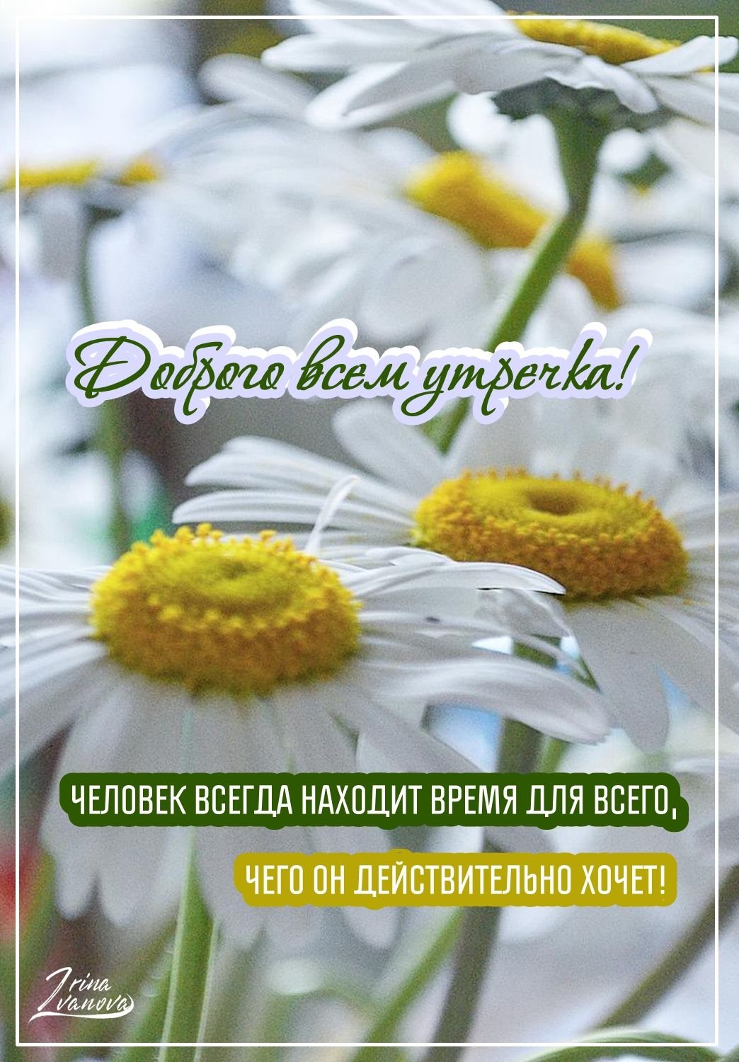 Пожелания доброго дня мотивирующая