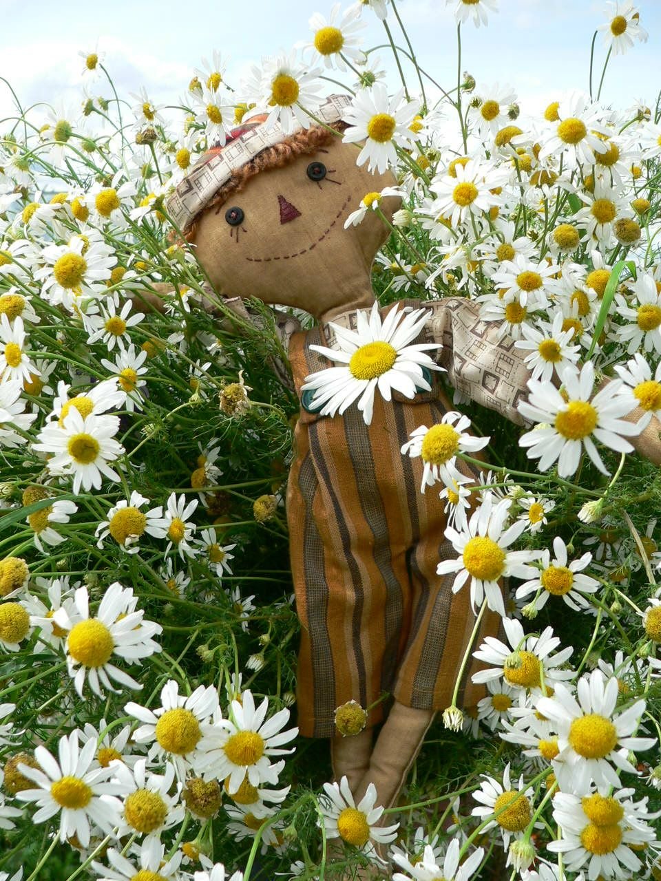 Позитивная Ромашка