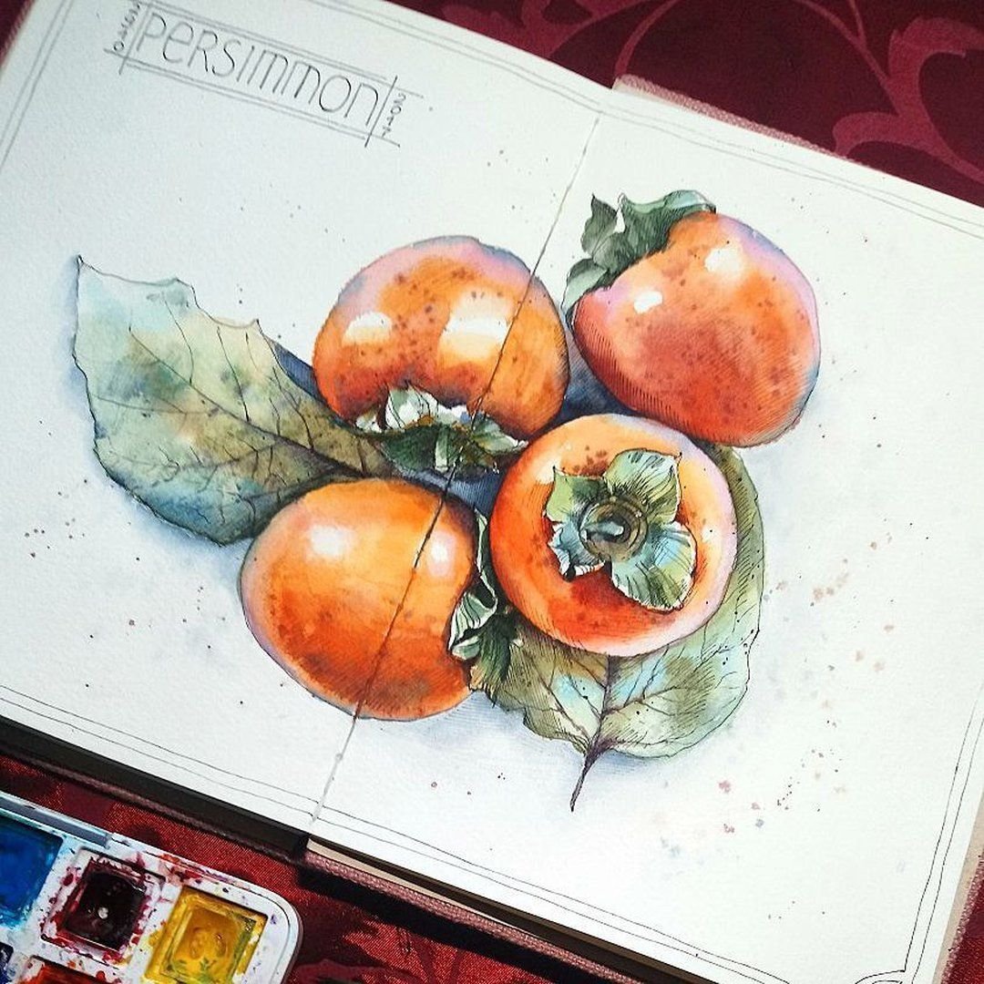 Скетчинг фрукты