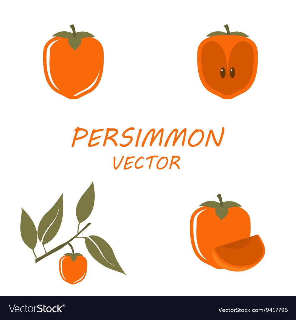 Persimmon лого