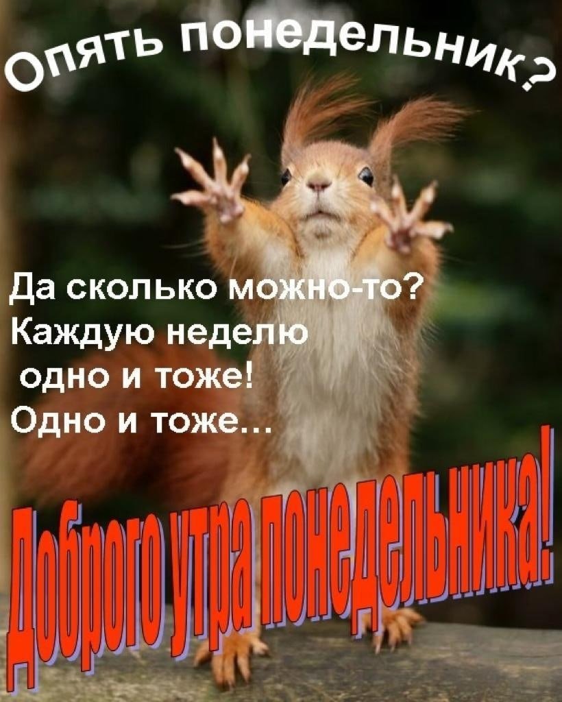 С добрым утром понедельника прикольные