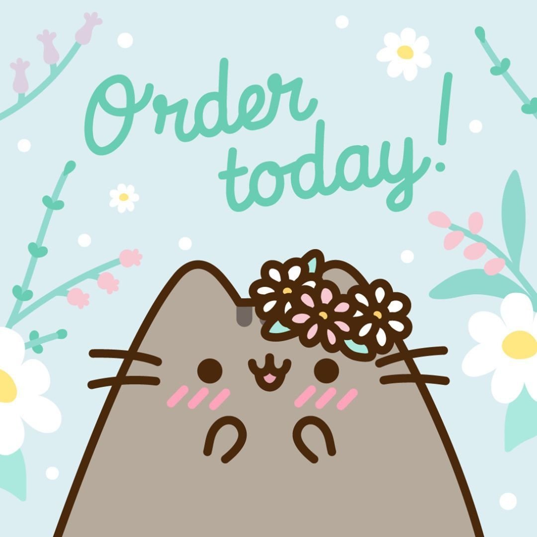 Милые котики пуши