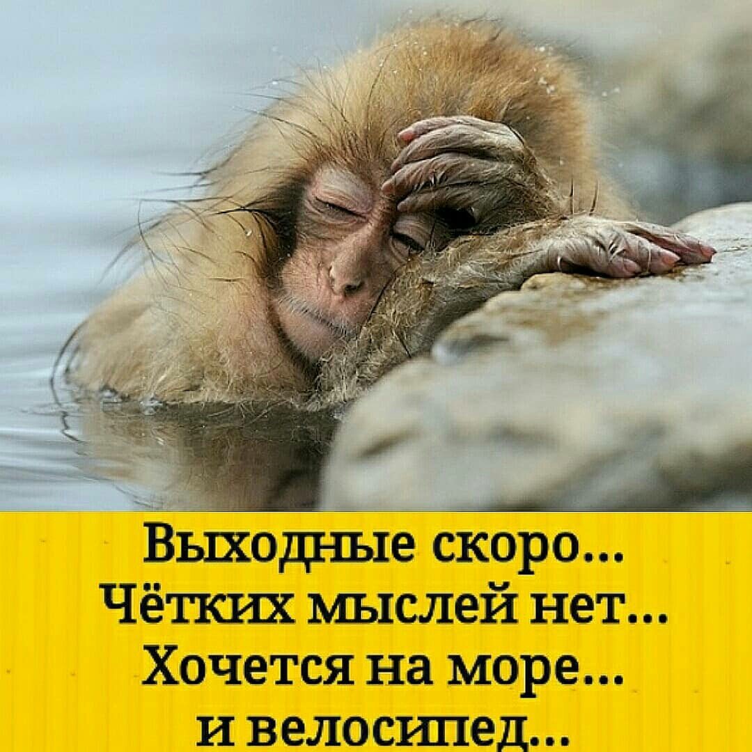 Пятница скоро выходные