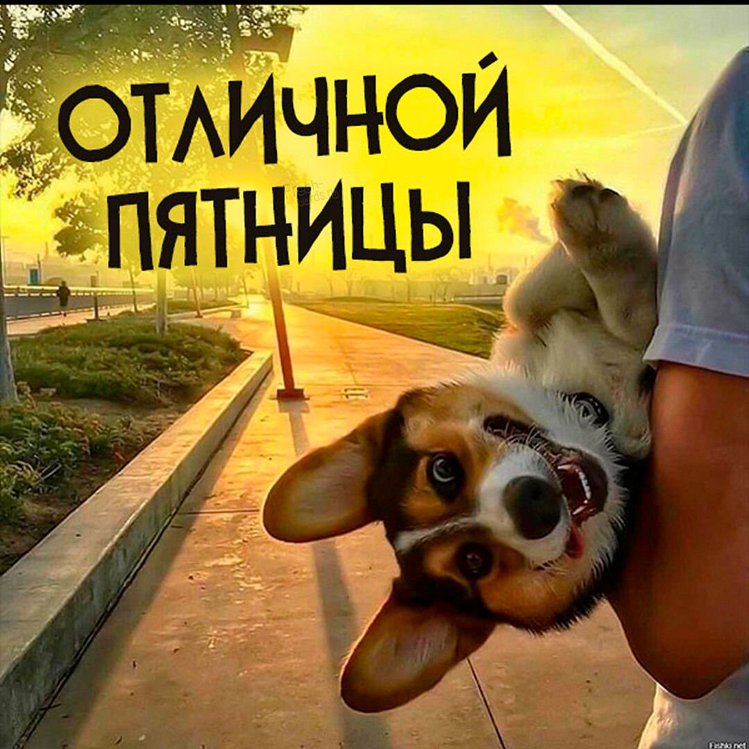 Отличной пятницы