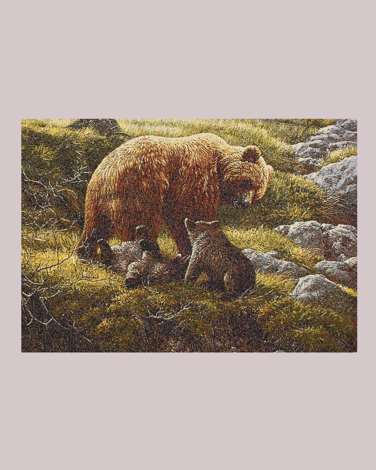 Бурый медведь