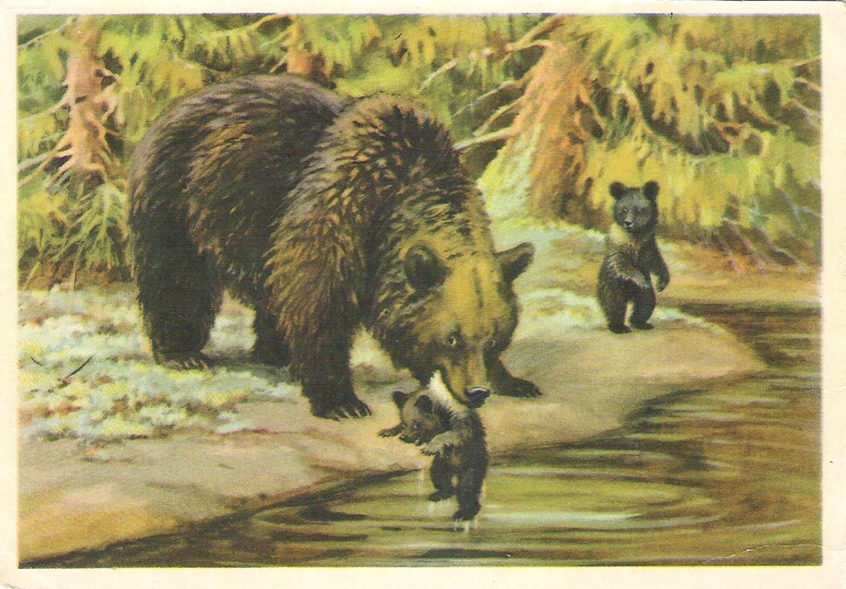 Купание медвежат Бианки